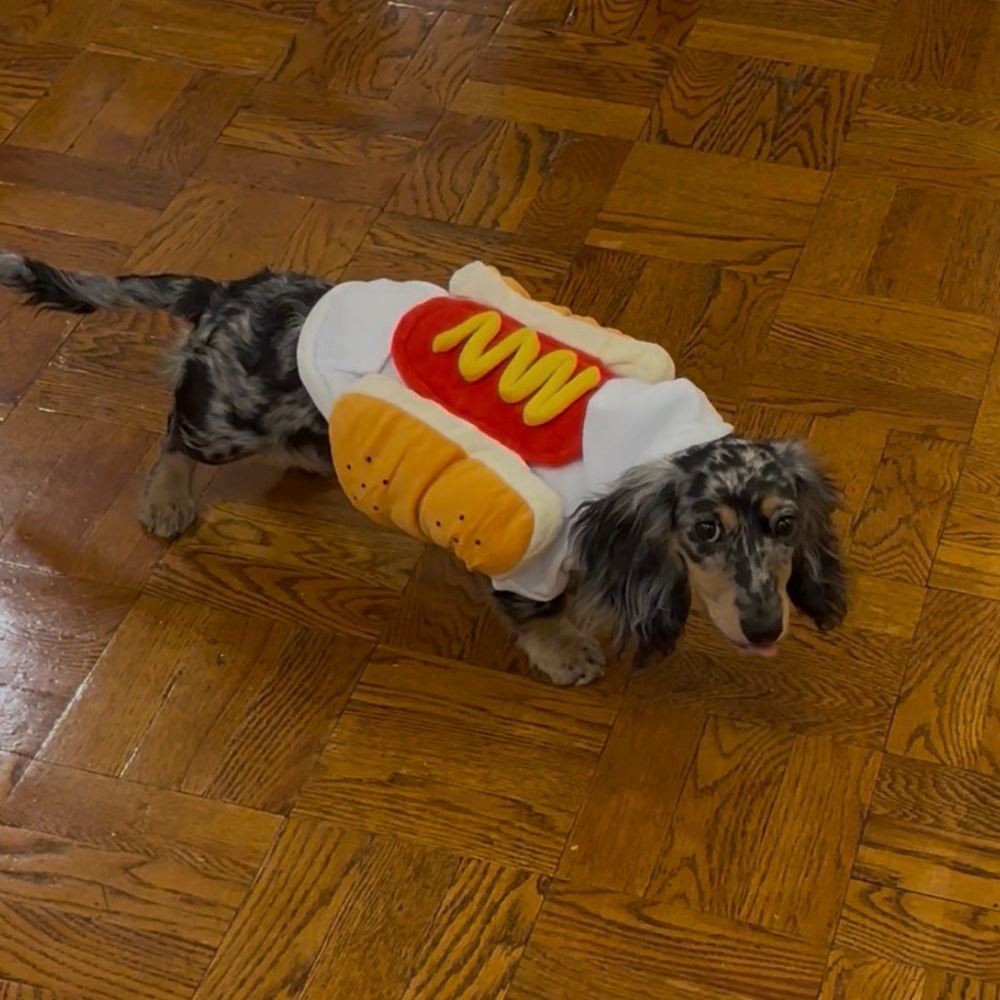 Hot Dog Costume-Sweatshirt